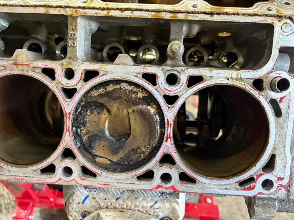 صورة واتساب بتاريخ 1447-02-15 في 19.30.47_8be5d975