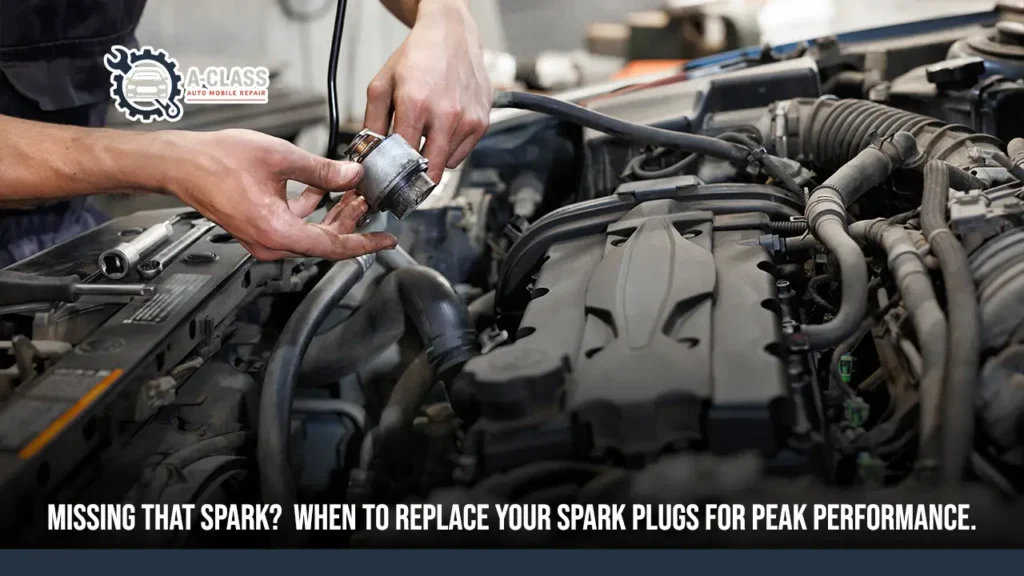 spark plug replacement cost